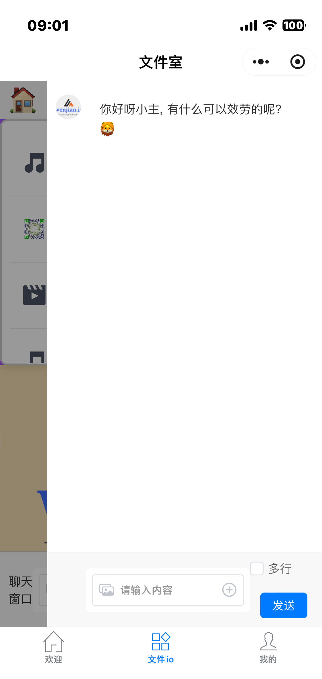 Chat window