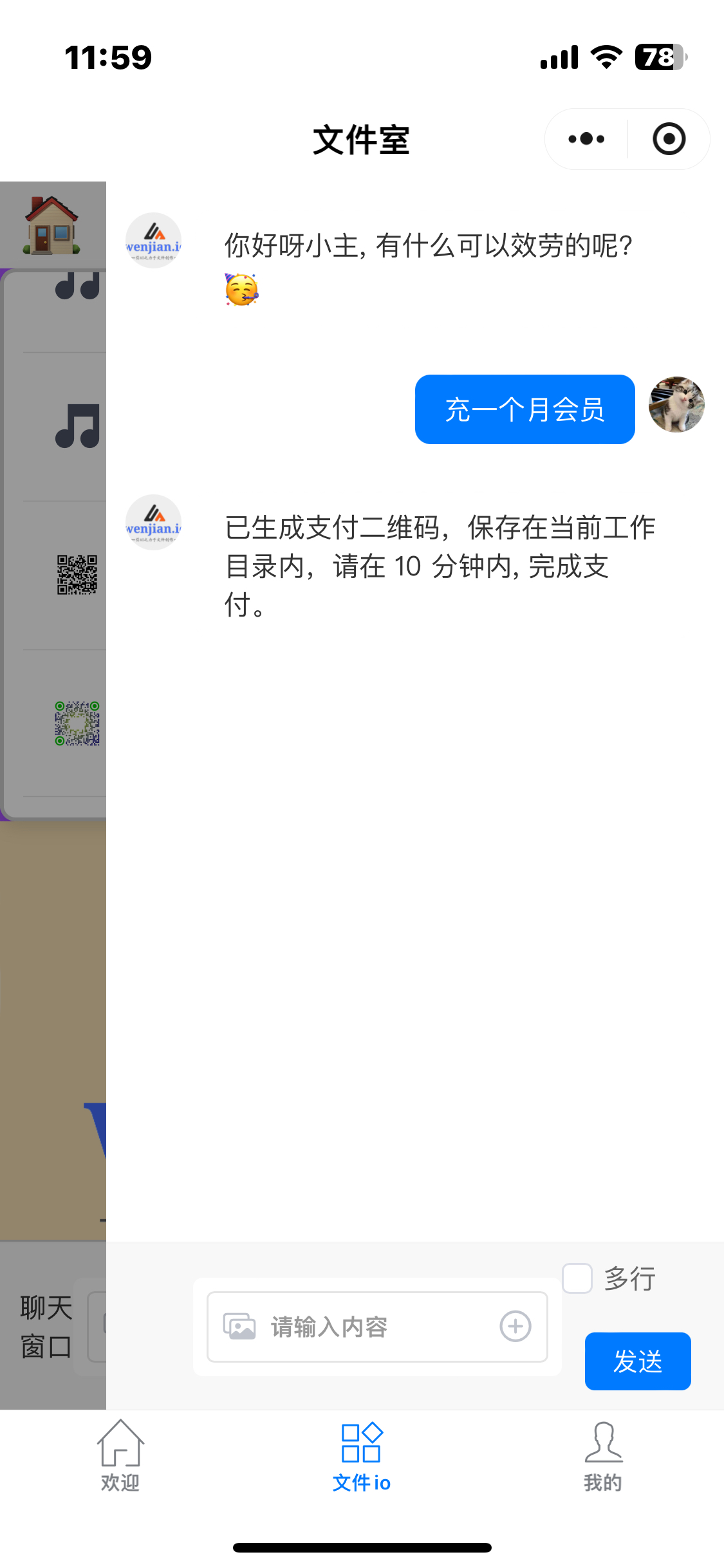 Top-up from chat